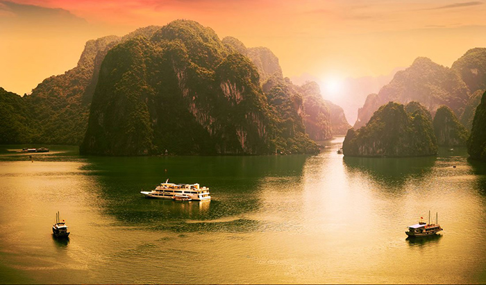  Find out which cruise in Halong offers the ultimate experience, from stunning landscapes to local culture