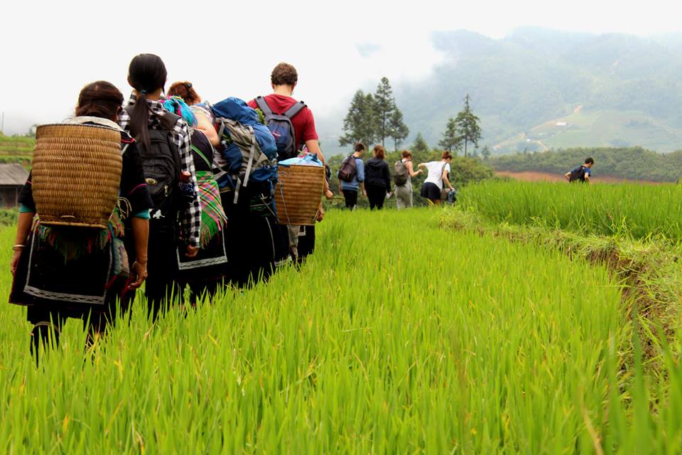 Explore, Experience, and Enjoy the beauty of Sapa with your family