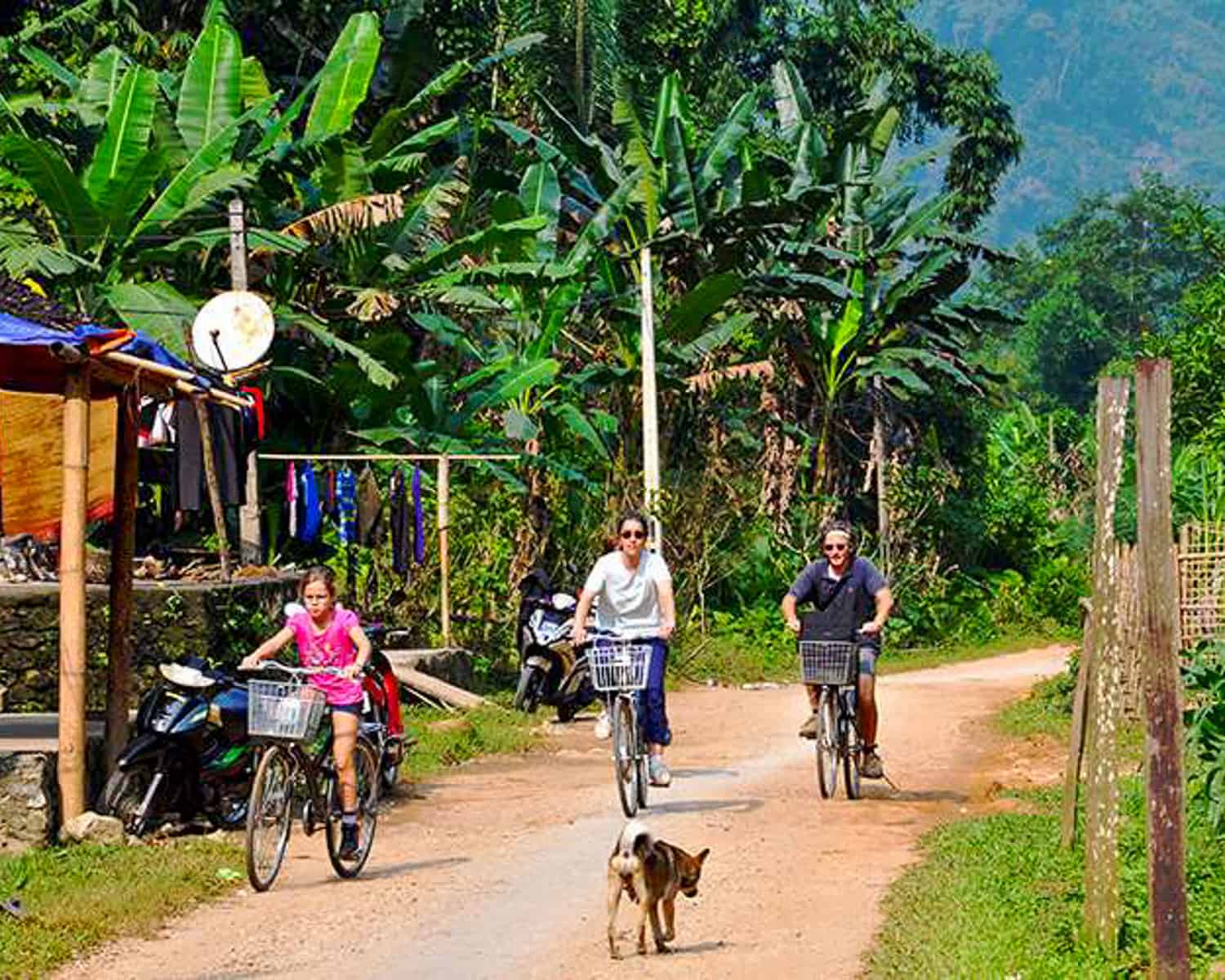 Take a deep breath and relax, Enjoy the tranquil beauty of Mai Chau Valley at your own pace