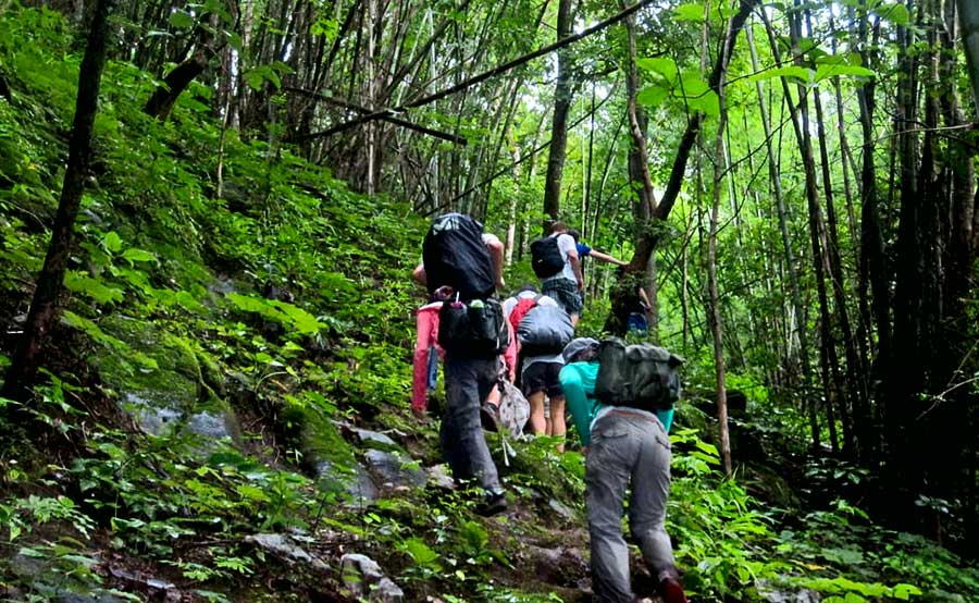 Step out of your comfort zone and explore the wild, beautiful terrain of Elephant Mountain with a hike through Dalat - Hiking in Dalat