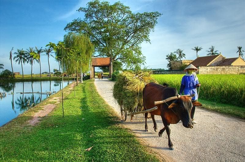 Retrace the steps of history and explore Duong Lam Ancient Village