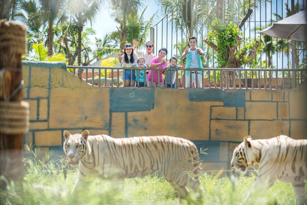 Ready for an unforgettable adventure, Come to Vinpearl Land & Safari to escape reality and let your wild side take over
