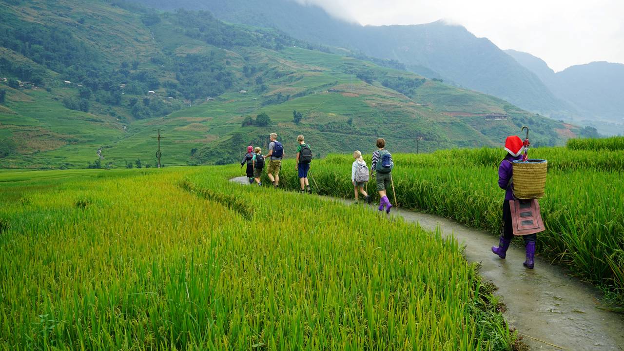 Life is an adventure, Ready to explore the beautiful hills, trekking trails and picture-perfect views of Sapa - things to do in northern Vietnam
