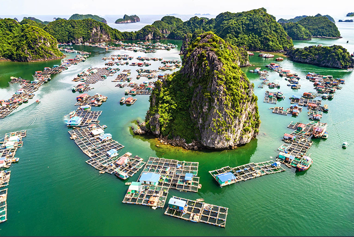 Take a journey and explore the incredible Cua Van in Halong Bay