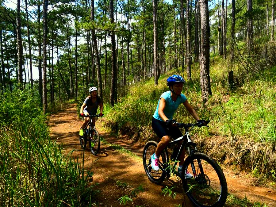 Unleash your spirit of adventure and join the mountain biking community Dalat