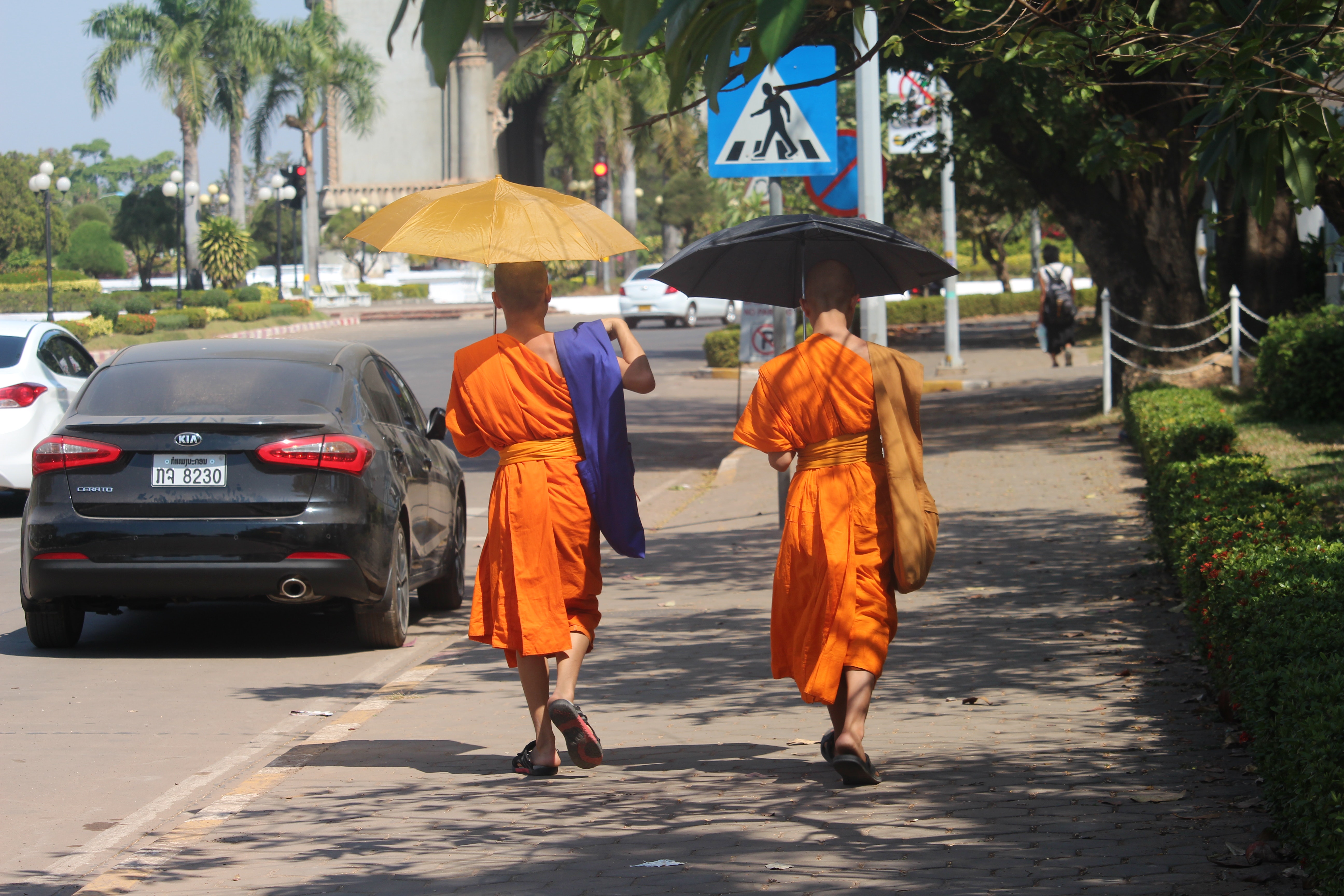 36 Surprising Reasons to Visit Laos Soon | Laos, Toronto tourism ...