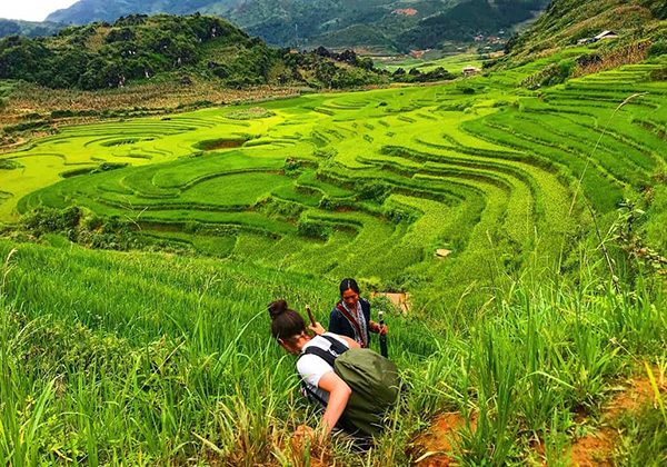 Discover the beauty and mystery of the Sapa Rice Terraces! From their mesmerizing terraced hills to rural villages full of vibrant culture - best sightseeing in Vietnam
