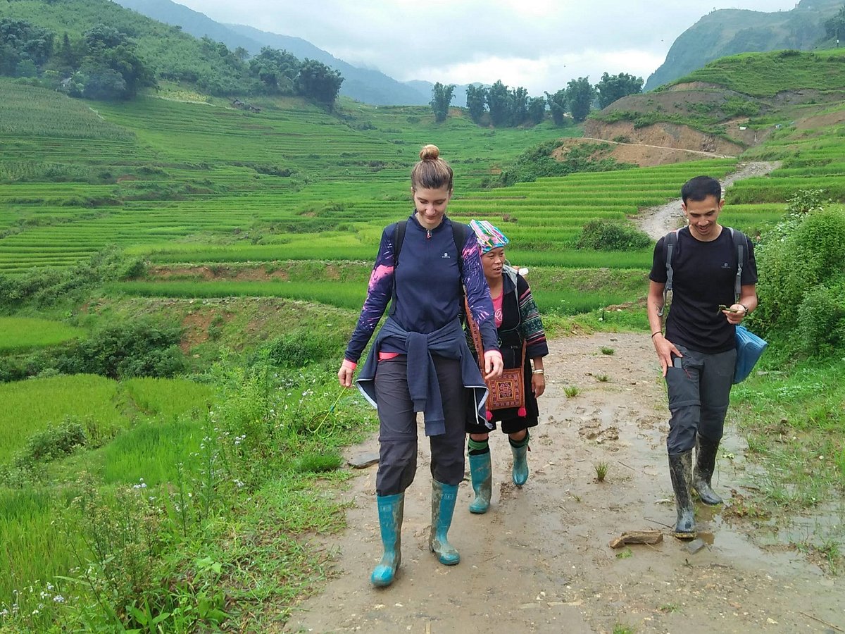 Conquer the trails and take in the majestic views of Sapa - vietnam guided tours