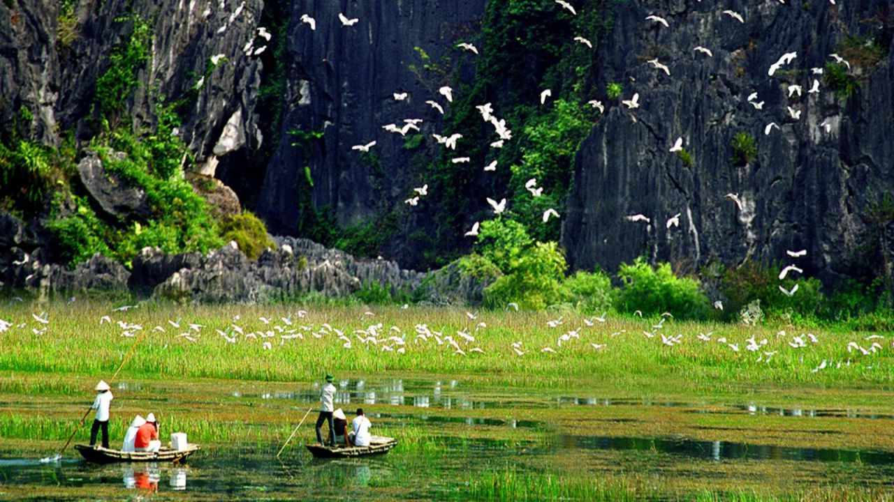 Take your soul on an adventure this weekend and explore the beauty of Thung Nham Bird Garden