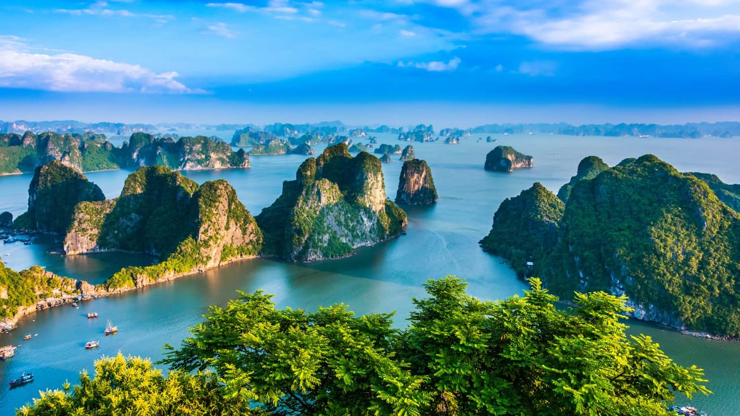 From breathtaking sceneries to unique experiences, embark on an unforgettable journey through Halong Vietnamese with talented tour guides and stunning scenery