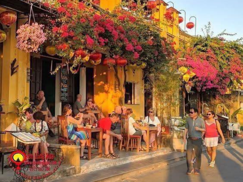 Hoi An Diving Guide: Best Cham Islands Scuba Diving & Tours 2025