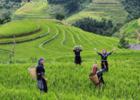 Northern Vietnam’s Premier Family Adventure Tour 6 Days / 5 Nights