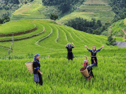 Northern Vietnam’s Premier Family Adventure Tour 6 Days / 5 Nights