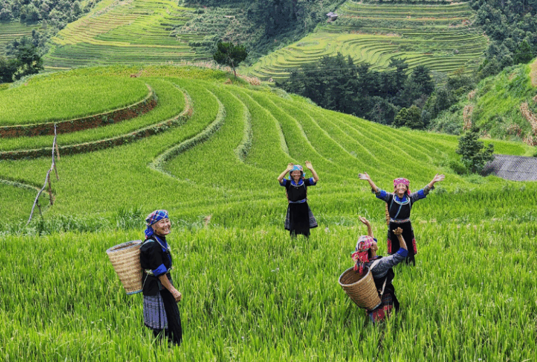 Northern Vietnam’s Premier Family Adventure Tour 6 Days / 5 Nights