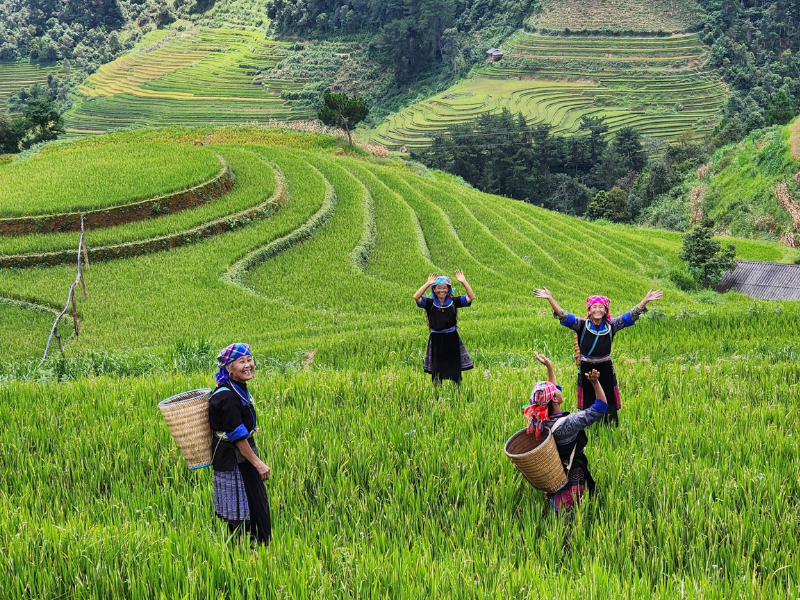 The Foundation of Excellence – Why Small Group Tours Define the Authentic Vietnam Experience