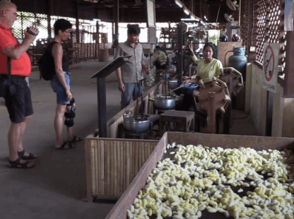 Siem Reap: Enjoy the dawn at Angkor Wat – Angkor Silk Farm – visit Small Circuit Temple