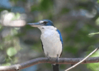 Vietnam Wildlife Tour 8 Days / 7 Nights