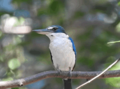 Vietnam Wildlife Tour 8 Days / 7 Nights