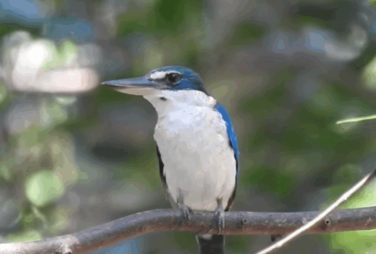 Vietnam Wildlife Tour 8 Days / 7 Nights