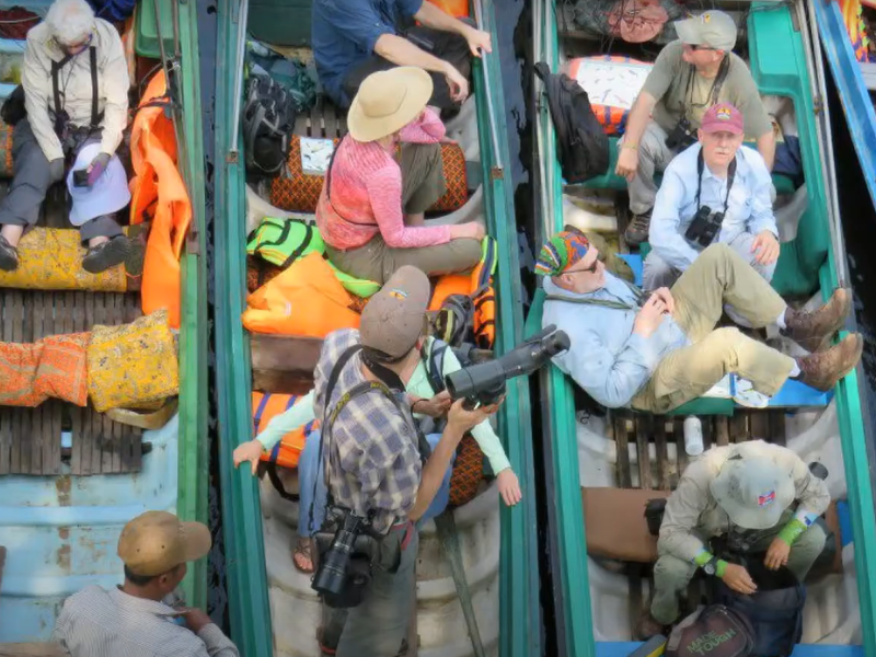 Bird Watching on Tonle Sap Lake