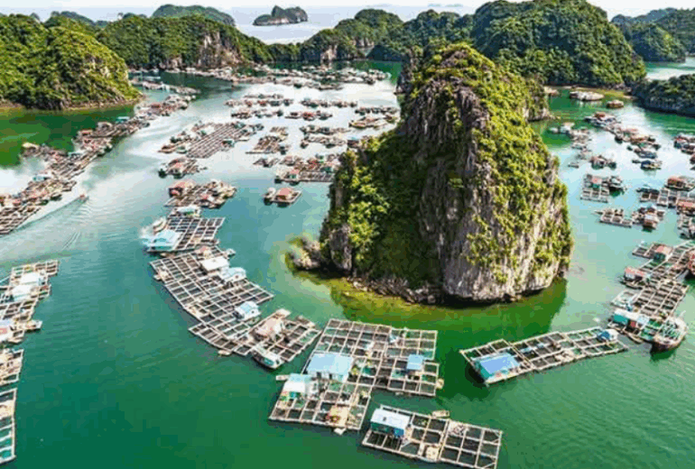 Hanoi – Halong Bay