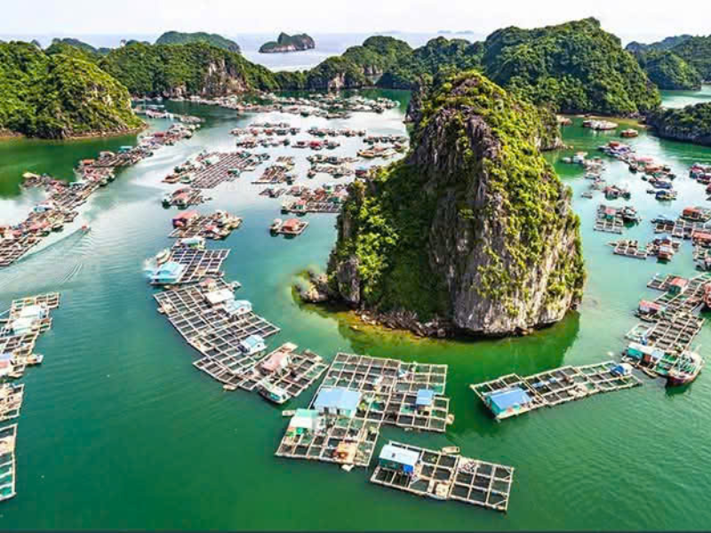 Cat Ba Island