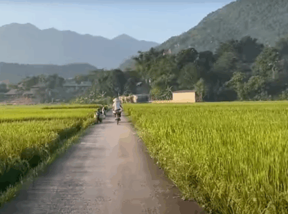 Climbing: An Exhilarating Adventure of Conquering New Heights in Mai Chau Valley