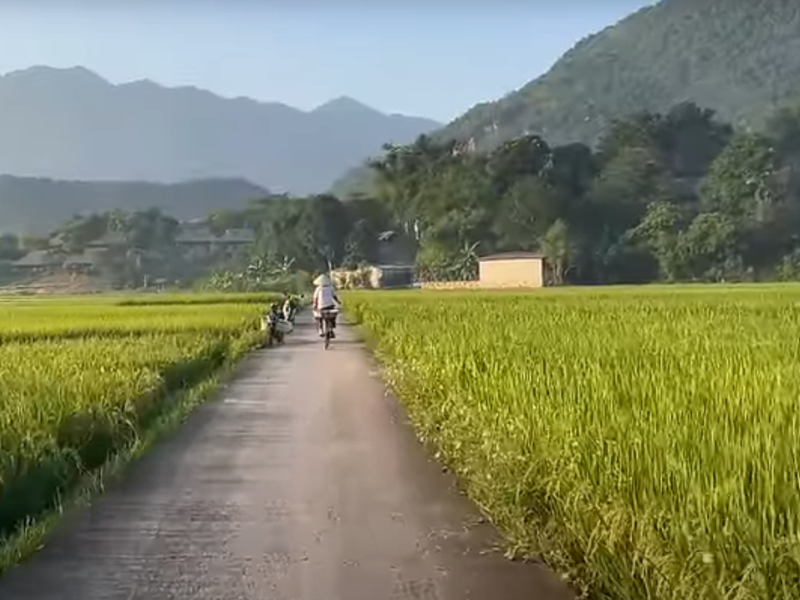 Discovering the Charm and Beauty of Northern Vietnam