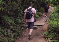 Discover the Magic of Vietnam’s Endangered Primates 10 Days