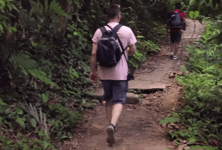 Discover the Magic of Vietnam’s Endangered Primates 10 Days