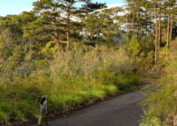 Enchanting Highlands & Beach Escape – 8 Days / 7 Nights