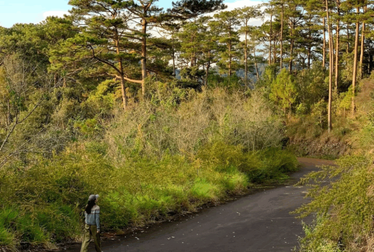 Enchanting Highlands & Beach Escape – 8 Days / 7 Nights