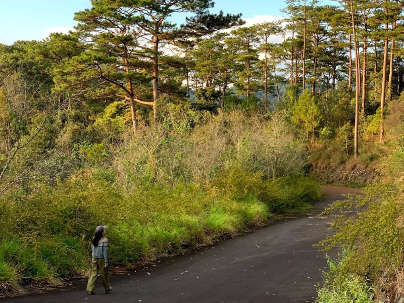 Dalat – The Must-Visit Destination for Travel in Vietnam