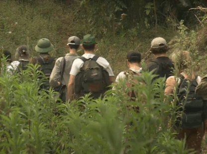 Discovering the Biodiverse Vietnam: A Look at the Flora and Fauna