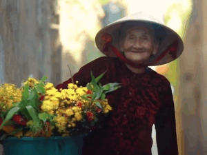 Vietnam Photography Tour: Capturing the Visual Soul of Tonkin and the Southern Deltas