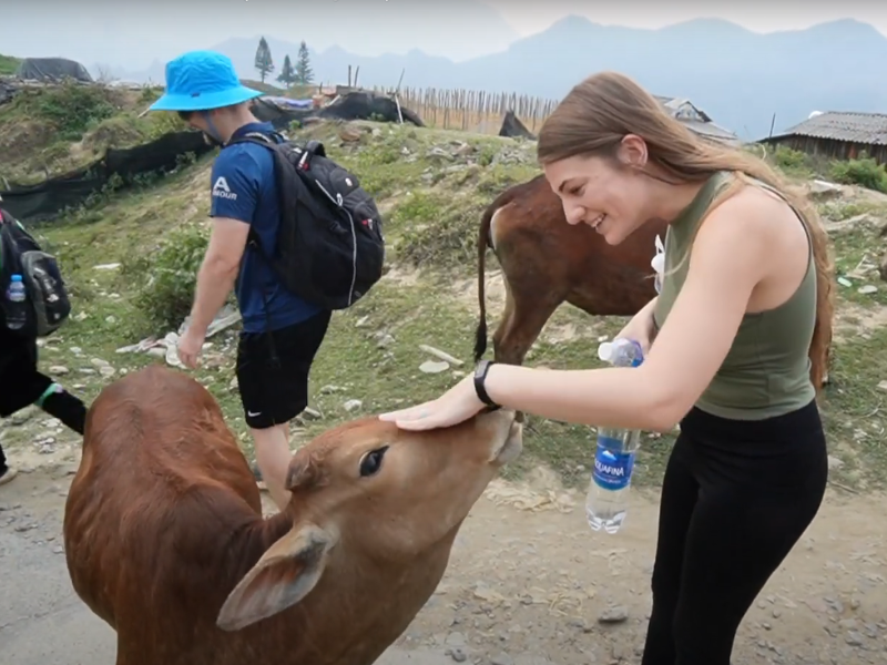 Exploring the Beauty of Sapa