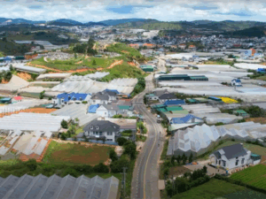 Lang Biang Mountain Da Lat