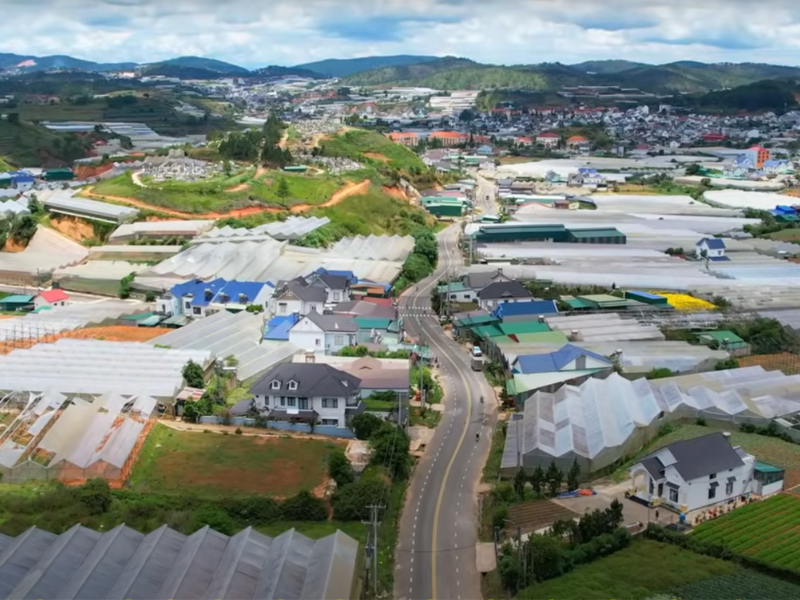 Conquering Lang Biang Mountain: A Journey to the Top