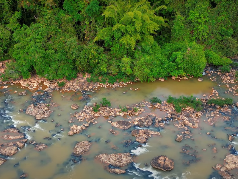 Nam Cat Tien National Park – A Wildlife Haven in Southern Vietnam