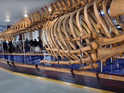 Discover the Wonders of the National Oceanographic Museum Nha Trang