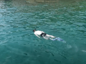 Nha Trang Snorkeling Adventure