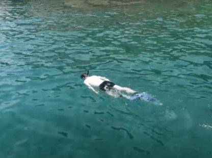 Discover the Stunning World of Nha Trang Snorkeling Adventure