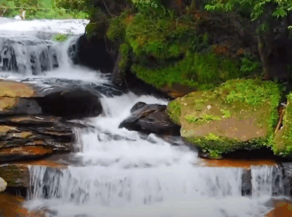 Discover the Spectacular Beauty of Phu Quoc National Park