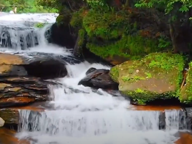 Discover the Spectacular Beauty of Phu Quoc National Park