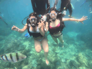 Phu Quoc Snorkeling