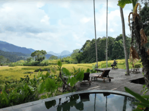 Pu Luong Nature Reserve