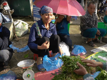Discovering Quyet Tien Market: The Ultimate Ha Giang Adventure