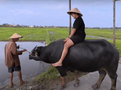 The Ultimate Vietnam Adventure Awaits You