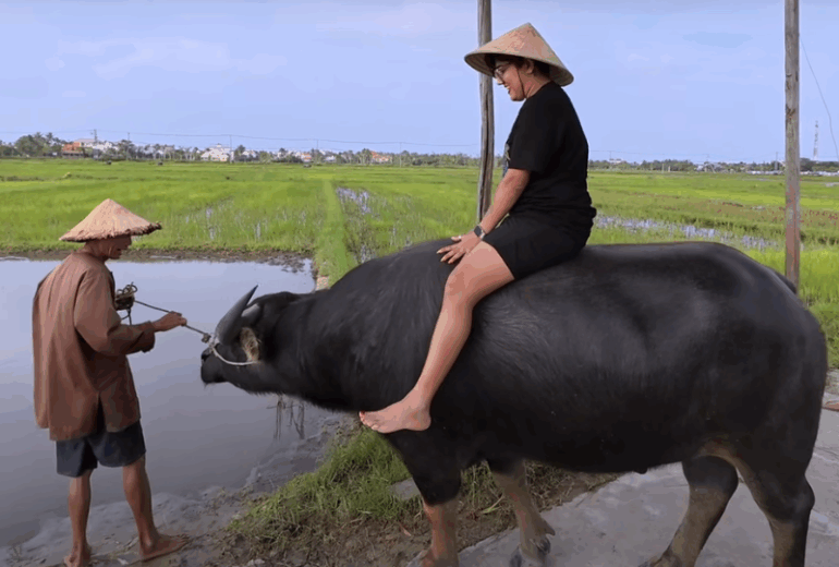 Hoi An – Free at leisure