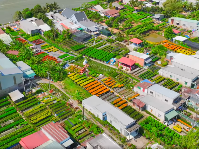 Mekong Delta Tourism: Unleashing the Charm of Sa Dec Port